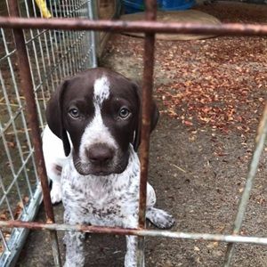 Meet your Posher, Robin